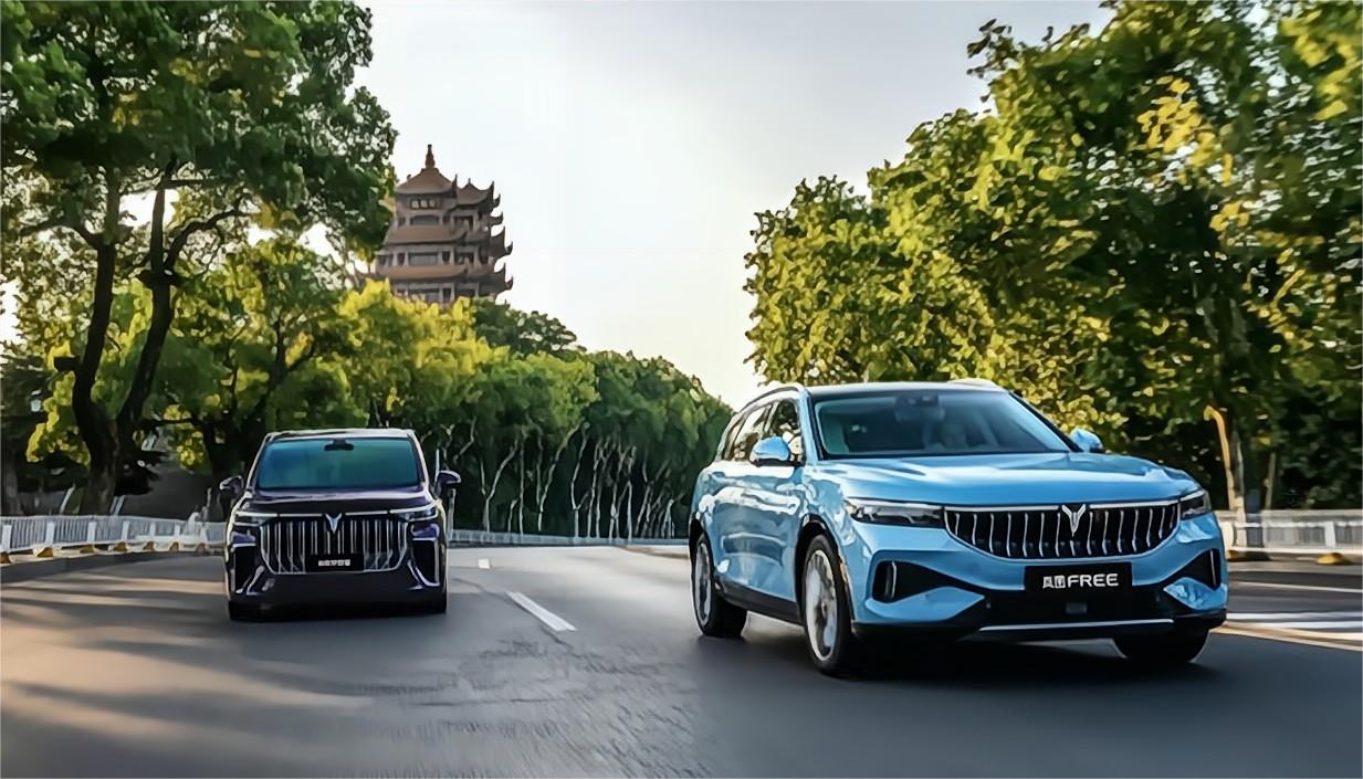岚图汽车增资信息在上海联合产权交易所正式对外披露